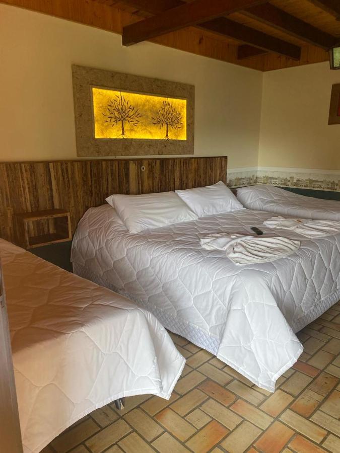 Hotel Pousada Boa Montanha モンテ・ヴェルデ エクステリア 写真